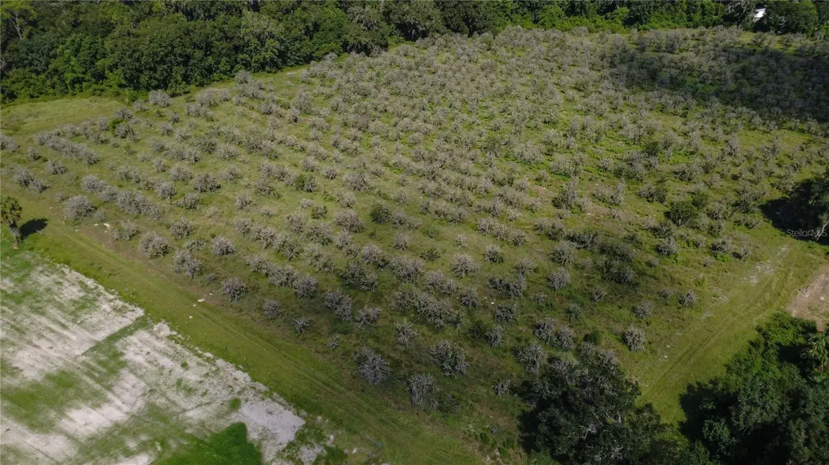 Holly Hammock Road, De Leon Springs, FL 32130 - #1