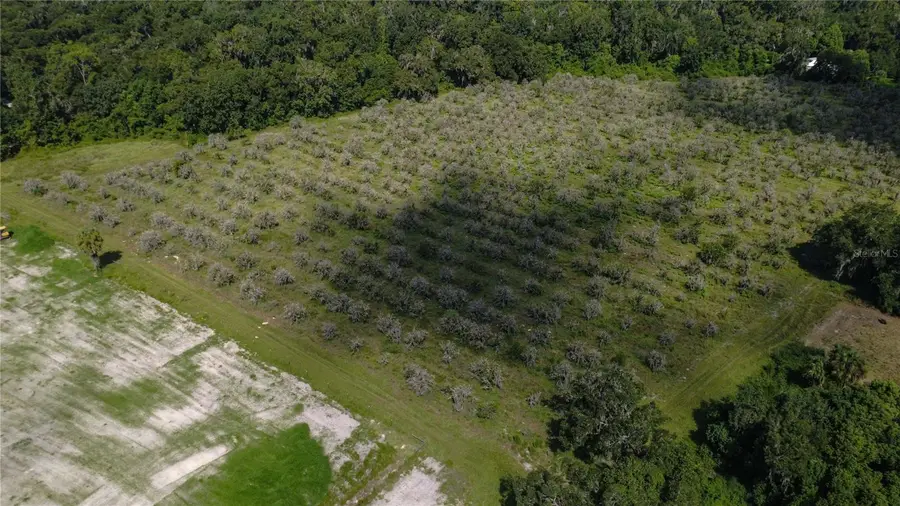 Holly Hammock Road, De Leon Springs, FL 32130 - #2