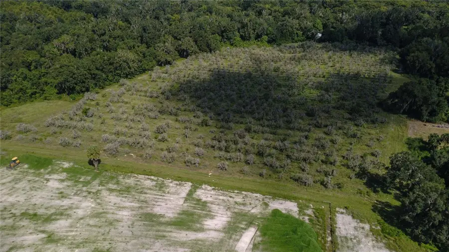Holly Hammock Road, De Leon Springs, FL 32130 - #3