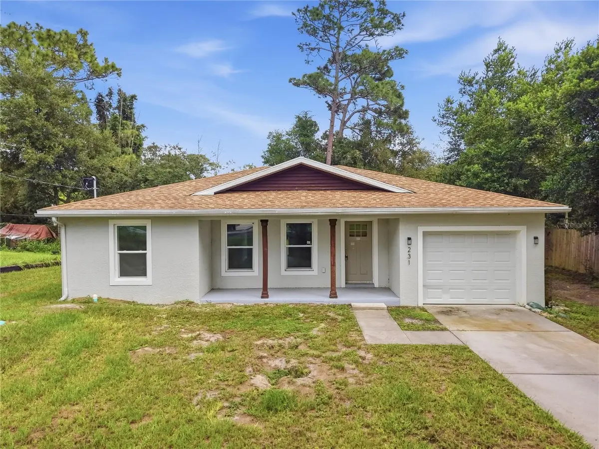 231 Chestnut Avenue, Orange City, FL 32763 - #1