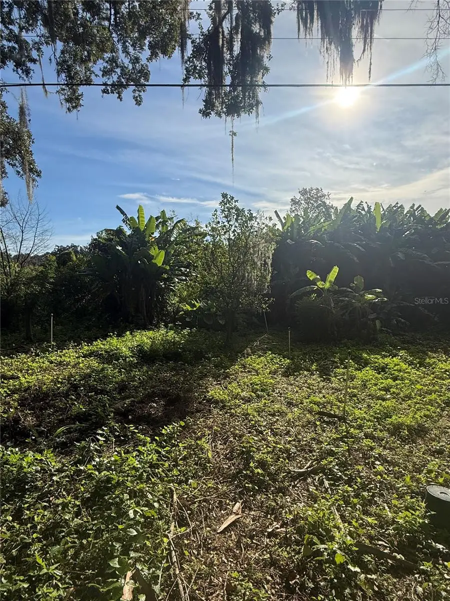 Willow Avenue, Sanford, FL 32773 - #1