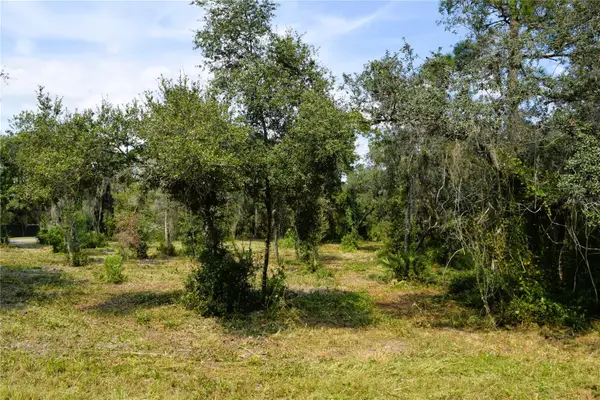 625 Lake Butler Avenue, OSTEEN, FL 32764