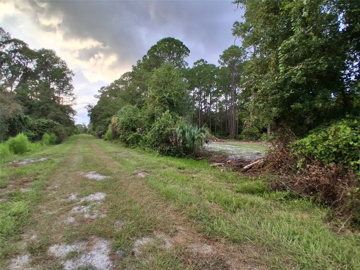 334 Redwood Boulevard, Georgetown, FL 32139 - #1