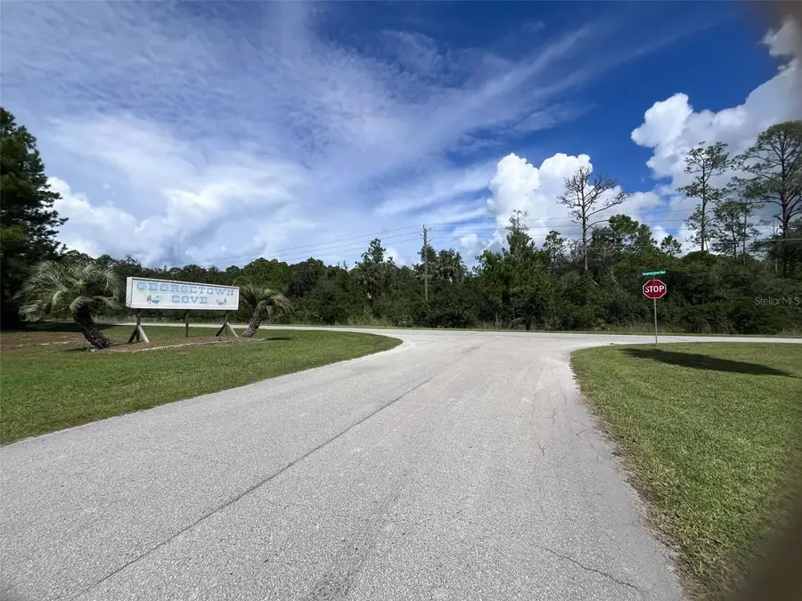 334 Redwood Boulevard, Georgetown, FL 32139 - #2