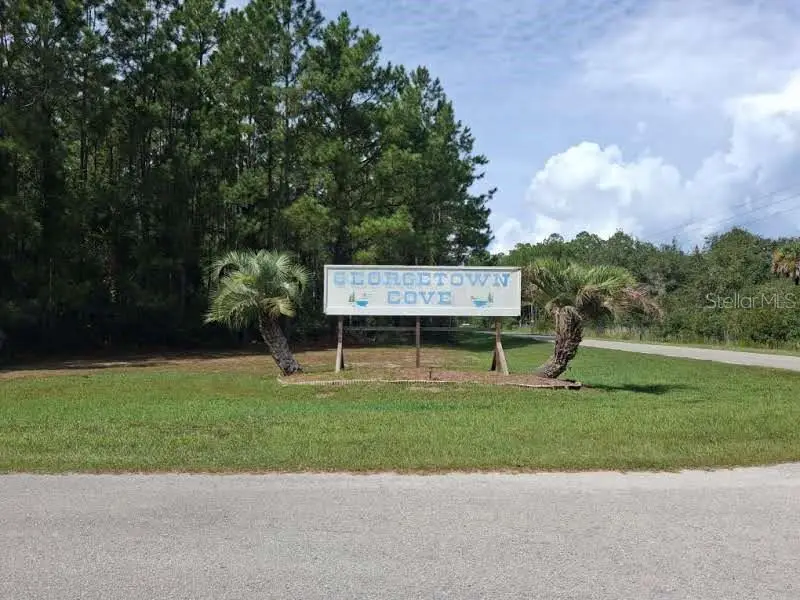 334 Redwood Boulevard, Georgetown, FL 32139 - #3
