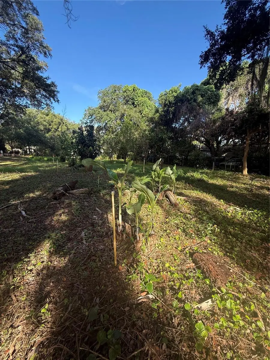 Orange Avenue, Sanford, FL 32773 - #1