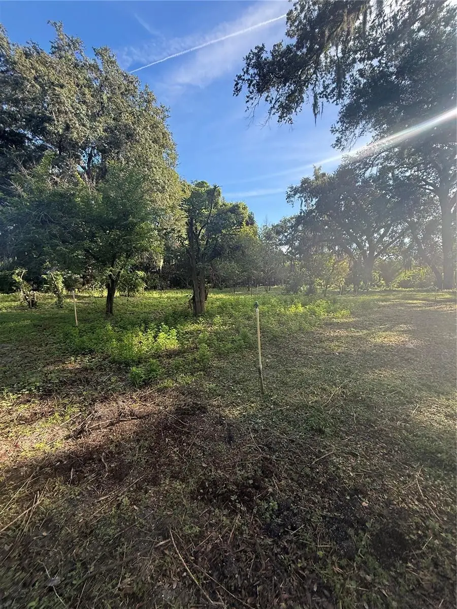 Orange Avenue, Sanford, FL 32773 - #2