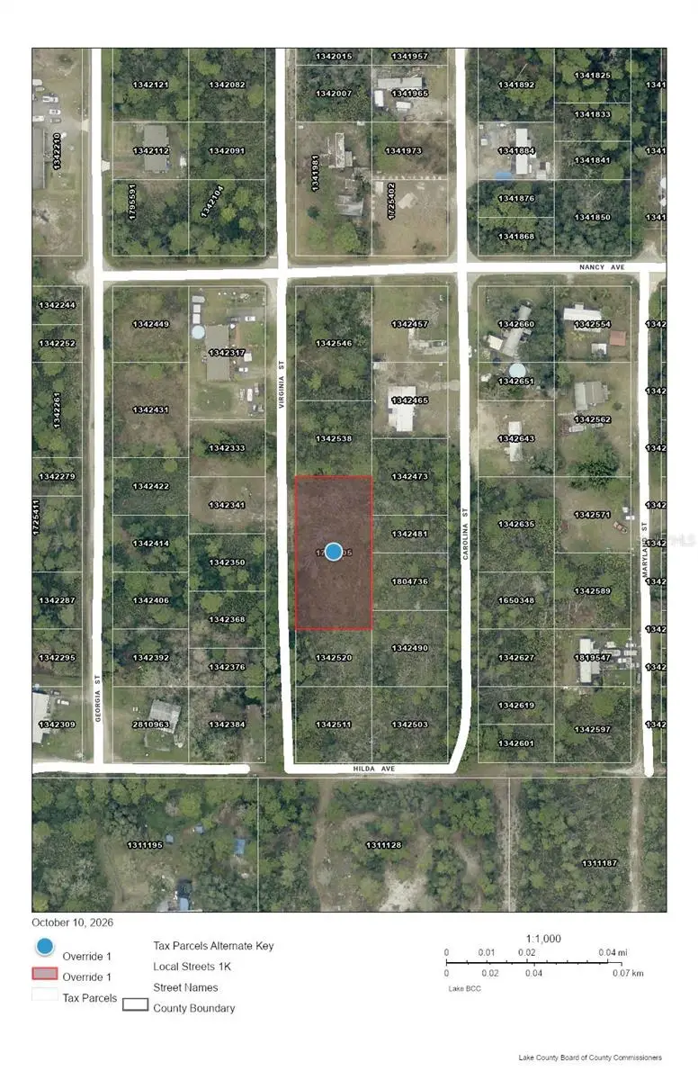 Virginia Street, Paisley, FL 32767 - #1