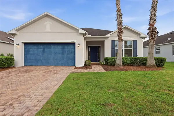 12061 Sawgrass Reserve Boulevard, ORLANDO, FL 32824