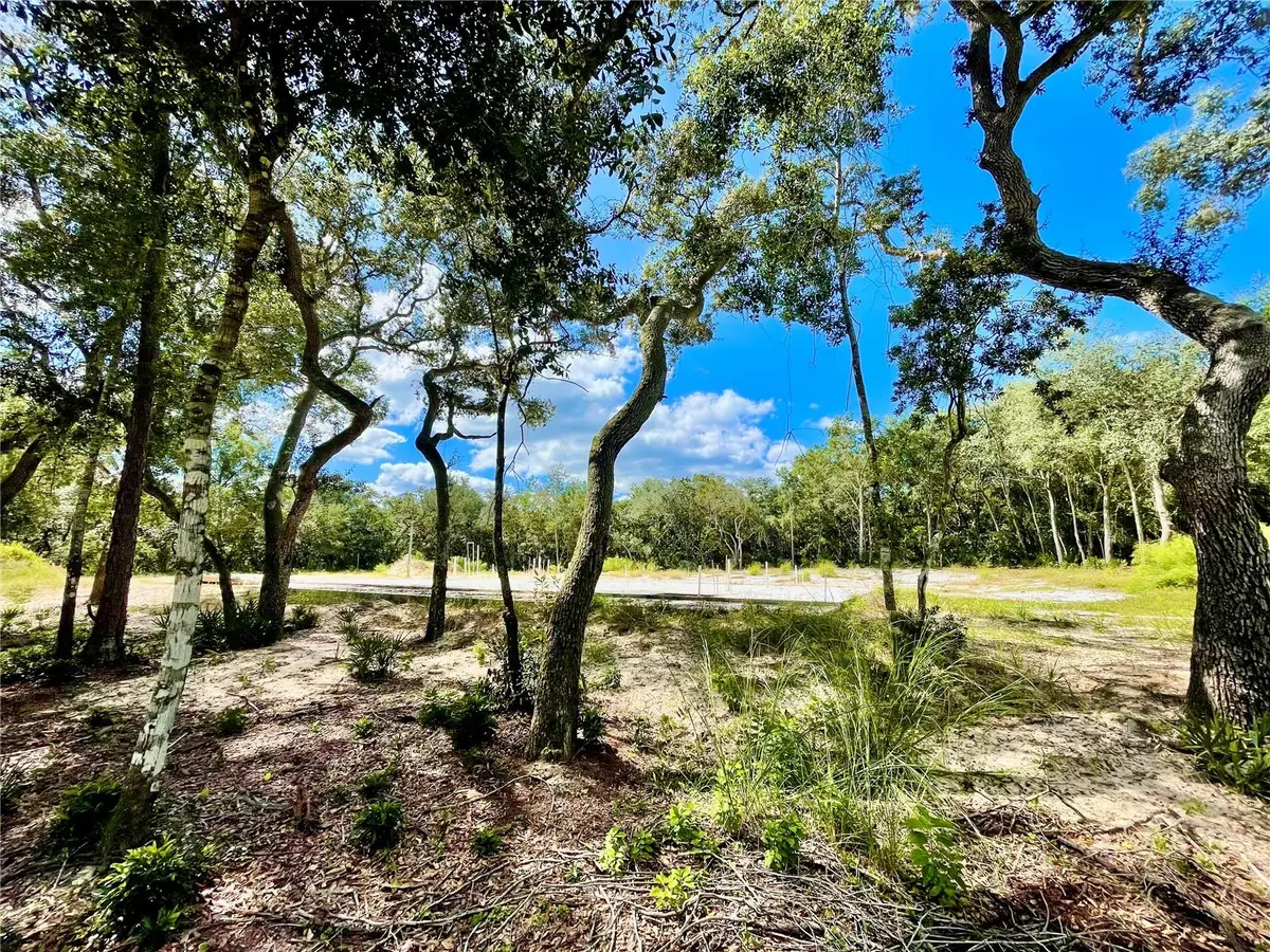 47125 East Avenue, Paisley, FL 32767 - #1