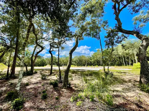 47125 East Avenue, PAISLEY, FL 32767