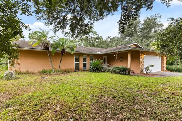 21356 Reindeer Road, CHRISTMAS, FL 32709