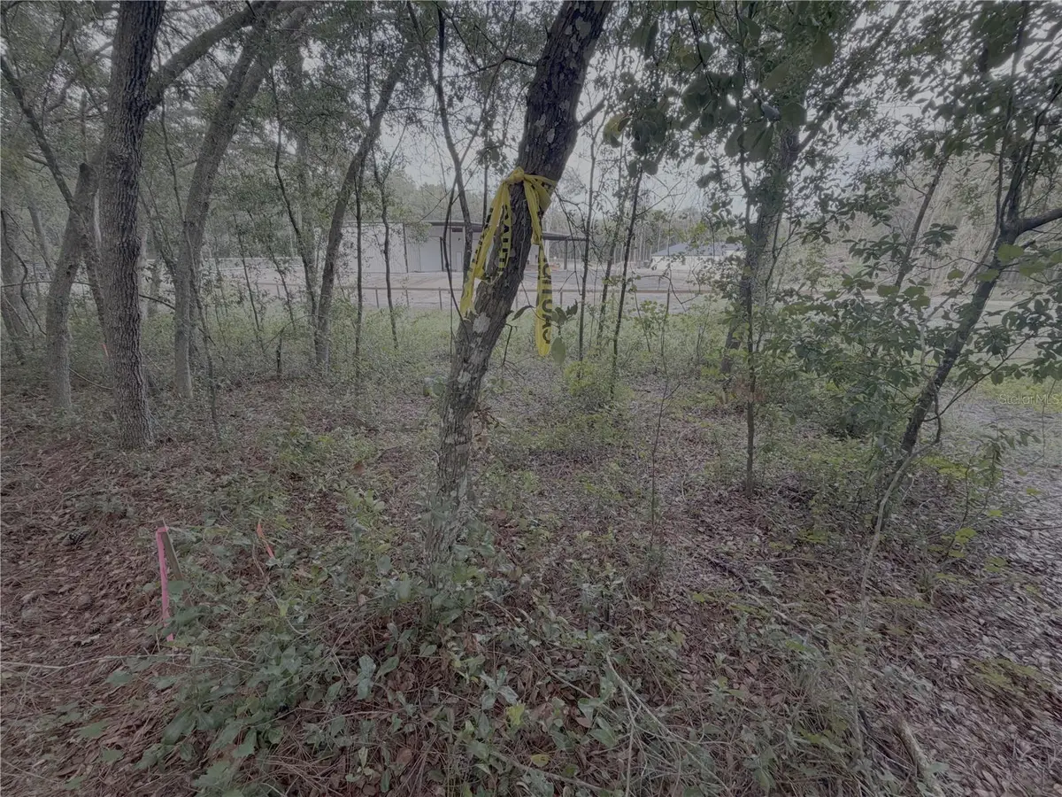 El Paso Avenue, Orange City, FL 32763 - #1