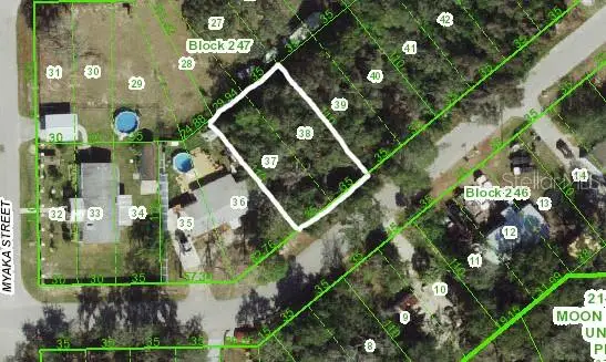 000 Lantana Avenue, NEW PORT RICHEY, FL 34654