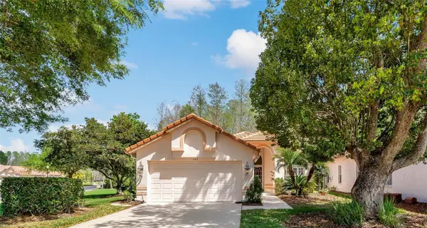 1383 Dartford Drive, TARPON SPRINGS, FL 34688