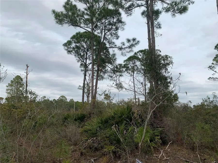 Address Withheld By Seller, Cedar Key, FL 32625 - Image #3