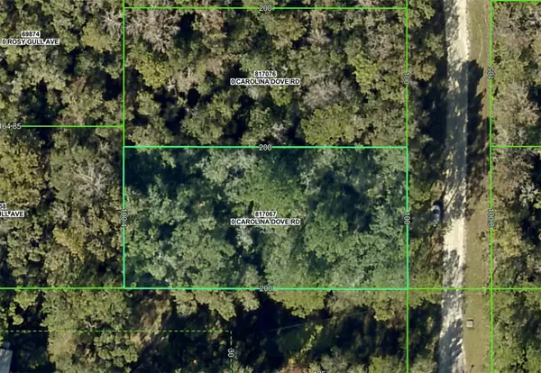 Lot 3 Carolina Dove Road, WEEKI WACHEE, FL 34614