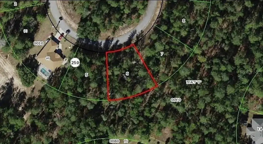 11 Scabiosa Court, Homosassa, FL 34446 - #1