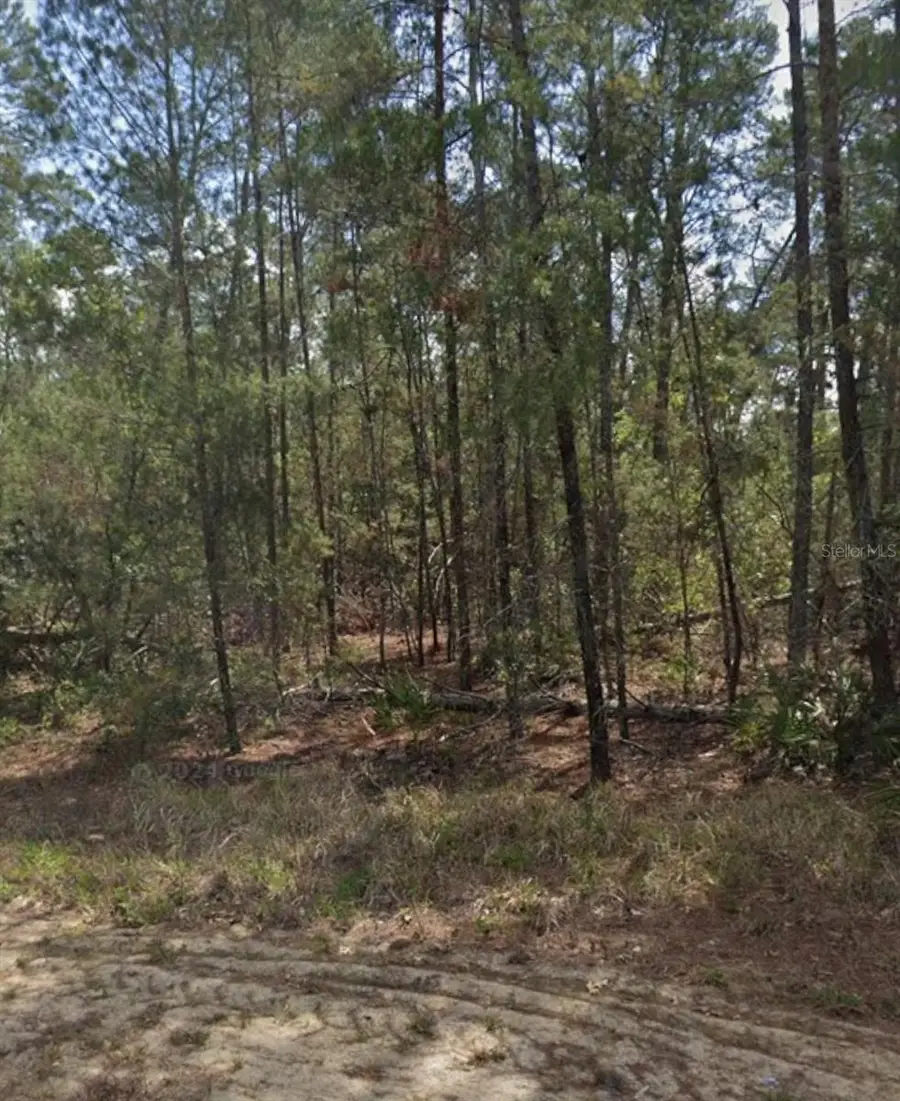11 Scabiosa Court, Homosassa, FL 34446 - #2
