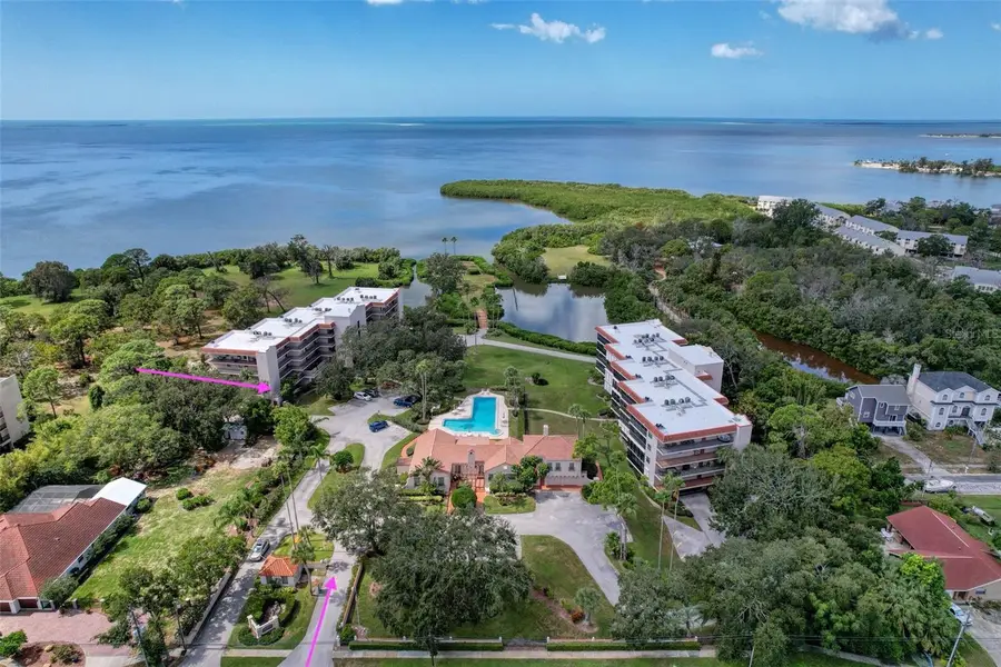 504 S Florida Avenue #215, Tarpon Springs, FL 34689 - Image #3