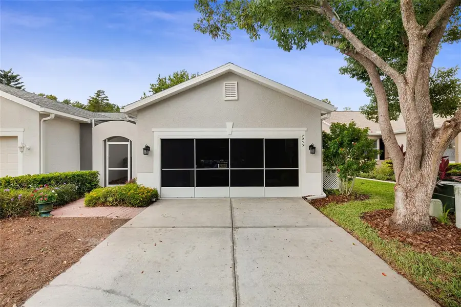 7253 Cleopatra Drive, Land O Lakes, FL 34637 - Image #2