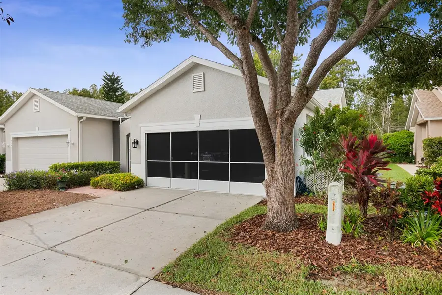 7253 Cleopatra Drive, Land O Lakes, FL 34637 - Image #3