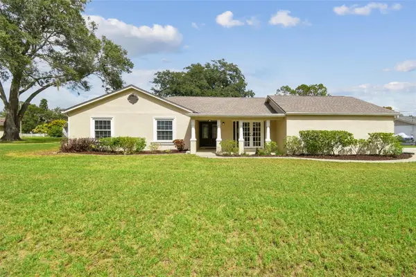 3130 Lake Saxon Drive, LAND O LAKES, FL 34639