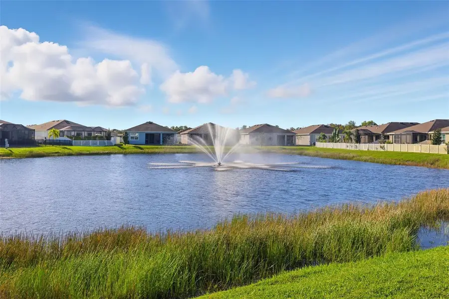 13320 Waterleaf Garden Circle, Riverview, FL 33579 - Image #2