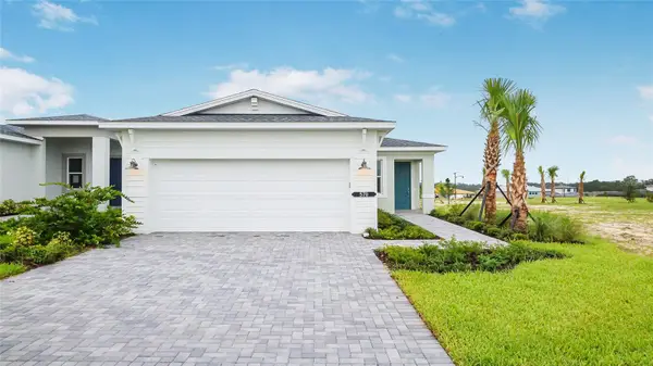 570 Hammock Oaks Boulevard, LADY LAKE, FL 32159