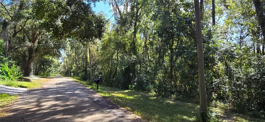 Fitzhugh Avenue, Brooksville, FL 34601 - #2