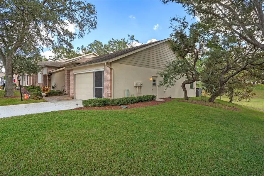 2102 Springmeadow Drive, Spring Hill, FL 34606 - Image #3