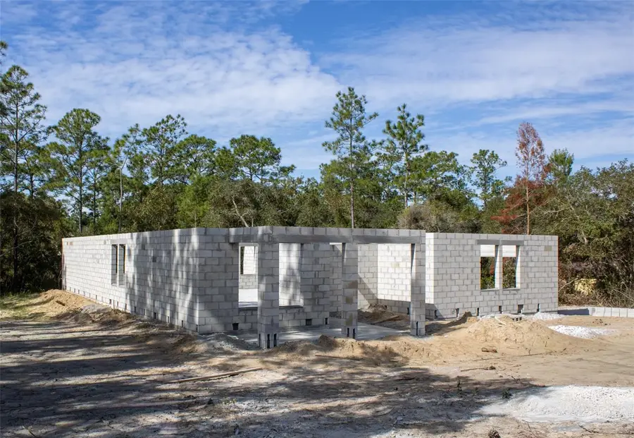 6054 N Rosewood Drive, Beverly Hills, FL 34465 - Image #3