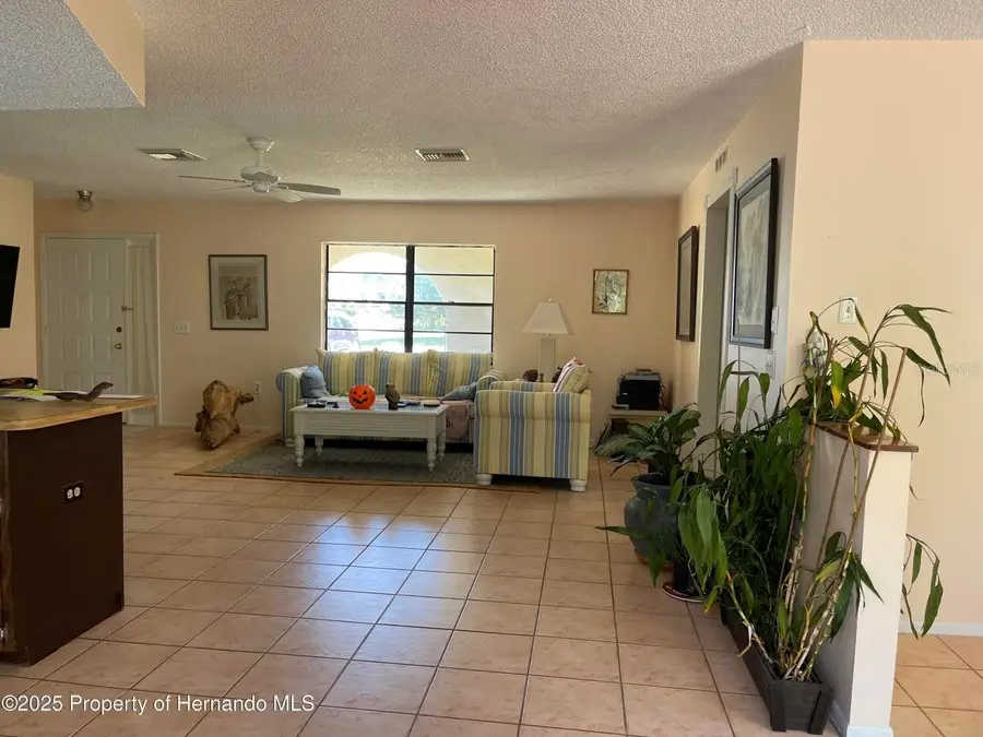 6233 Hancock Avenue, Spring Hill, FL 34608 - Image #3