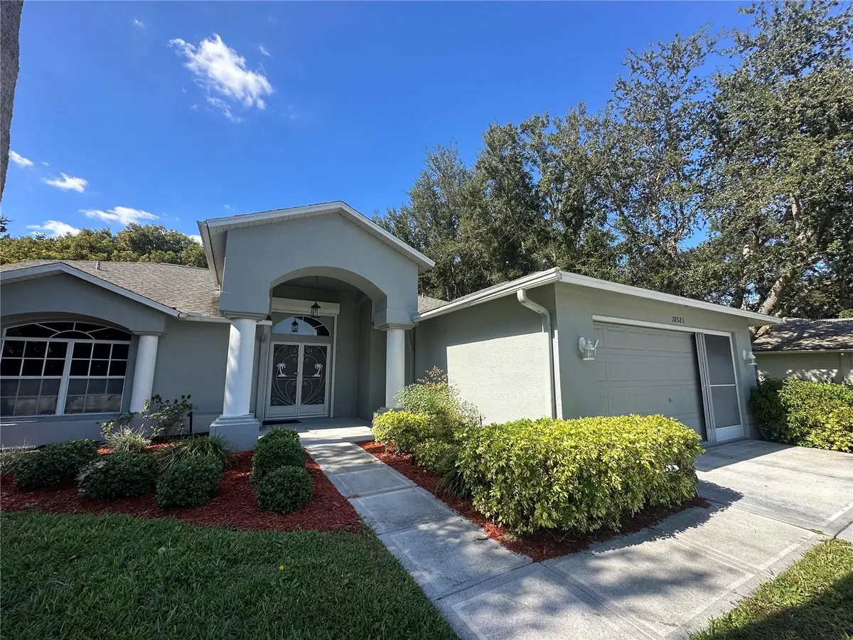 18523 Queen Brooks Court, Hudson, FL 34667 - Image #1