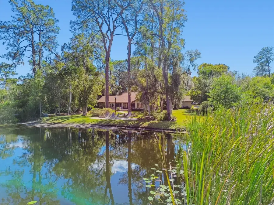 8011 N Mobley Road, Odessa, FL 33556 - Image #3