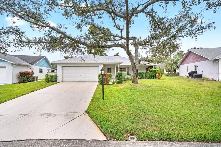 6404 Lost Tree Lane, Spring Hill, FL 34606 - Image #2