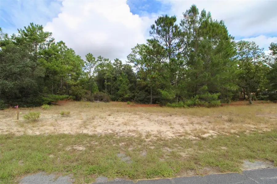 5873 W Conestoga Street, Beverly Hills, FL 34465 - Image #3