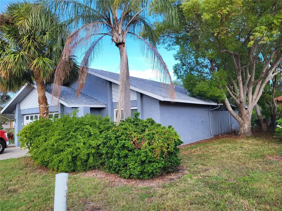 4427 Dewey Drive, New Port Richey, FL 34652 - Image #3