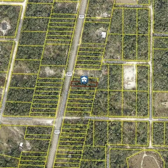 LOT 28 Treiman Boulevard, Webster, FL 33597 - Image #2