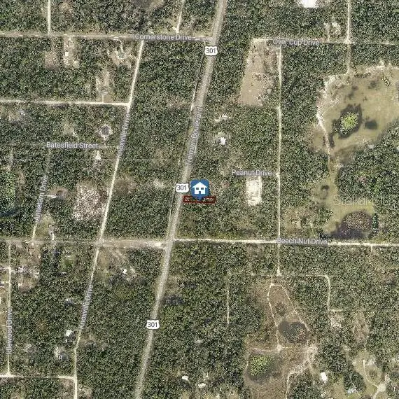 LOT 28 Treiman Boulevard, Webster, FL 33597 - Image #3