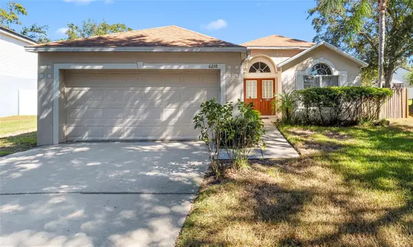 6210 Gondola Drive, RIVERVIEW, FL 33578