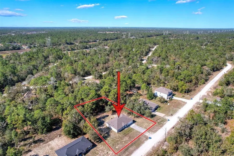 16061 Cave Swallow Road, Brooksville, FL 34614 - Image #3