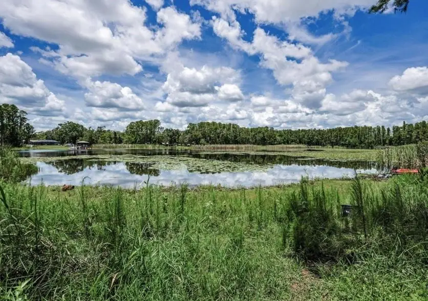 4635 Cobb Road, Land O Lakes, FL 34638 - Image #3