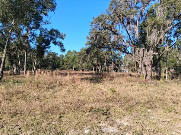 0 Long Circle, WEBSTER, FL 33597