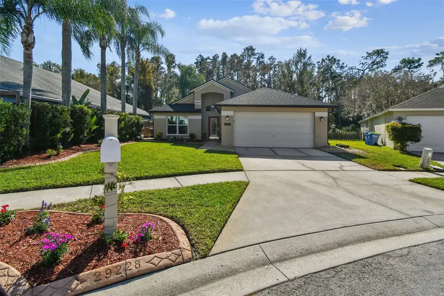 29228 Birds Eye Drive, Wesley Chapel, FL 33543 - Image #3