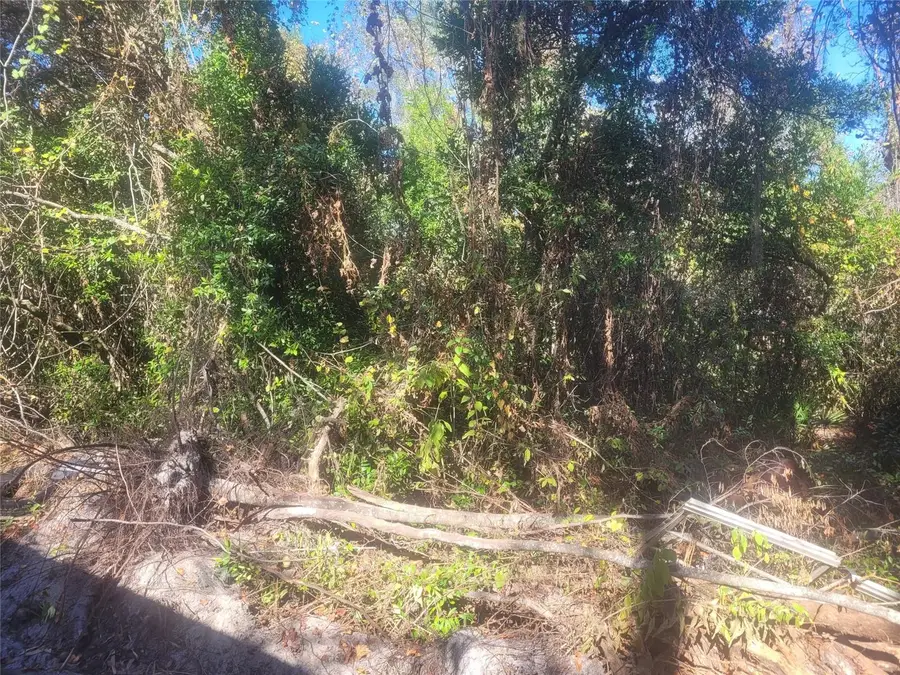 Adler Street, New Port Richey, FL 34654 - Image #2