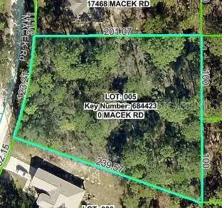17460 Macek Road, Weeki Wachee, FL 34614 - Image #2