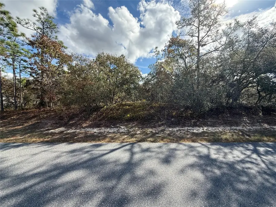 220 Linder Drive, Homosassa, FL 34446 - Image #2