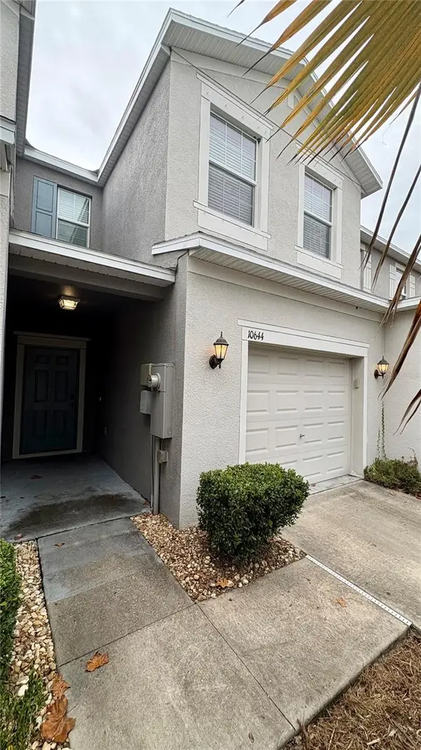 10644 Lake Montauk Drive, RIVERVIEW, FL 33578