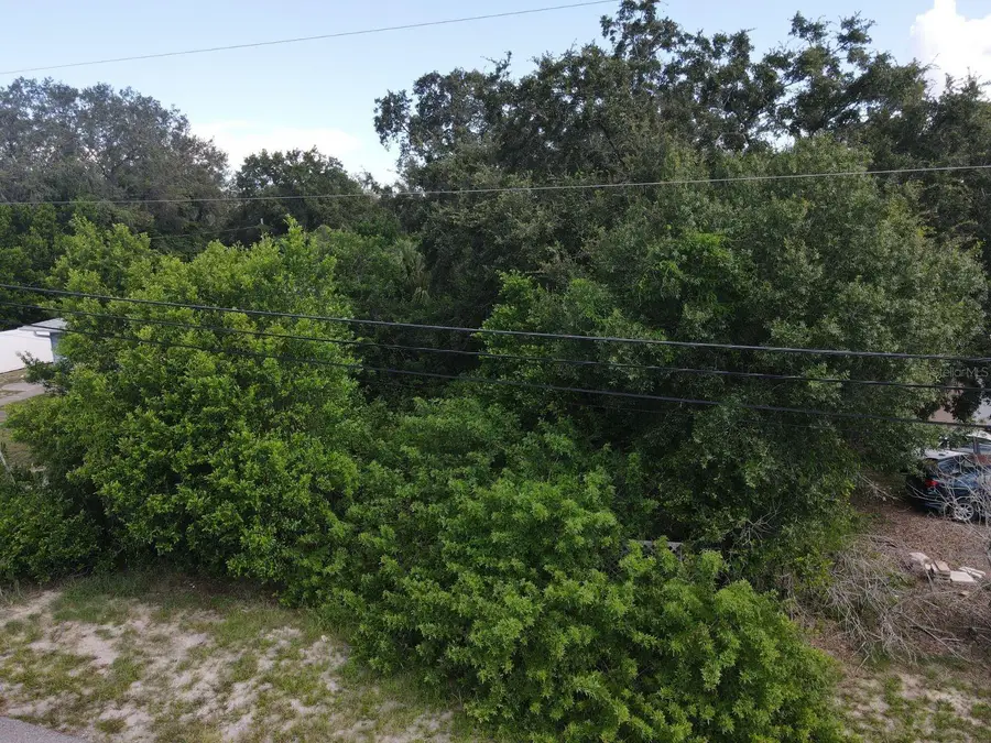 Berkley Avenue, Tarpon Springs, FL 34689 - Image #3